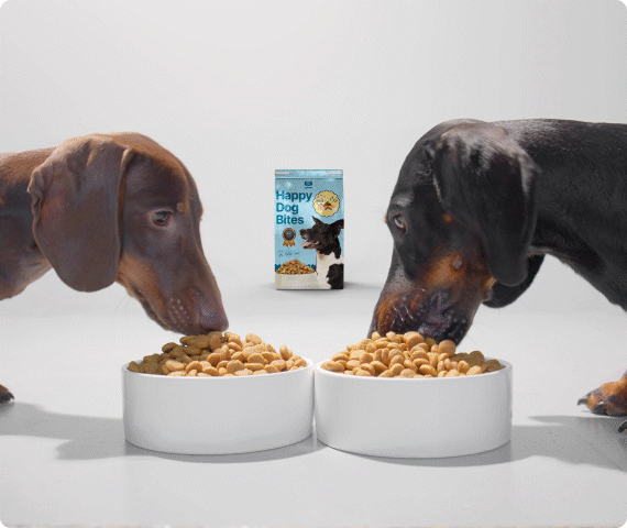 Two dogs eating