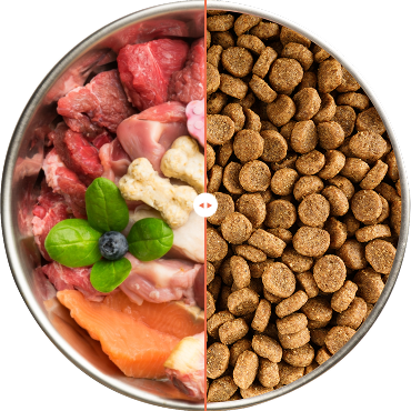  A bowl of pet food. 2 sided